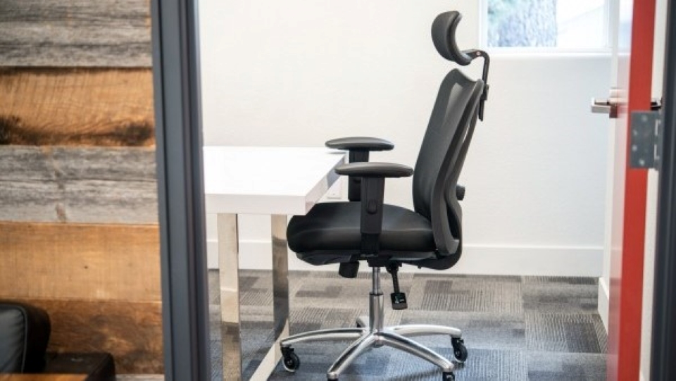 Duramont Ergonomic Adjustable Office Chair With Lumbar Support