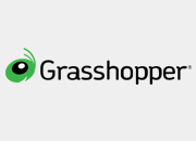Grasshopper Solo