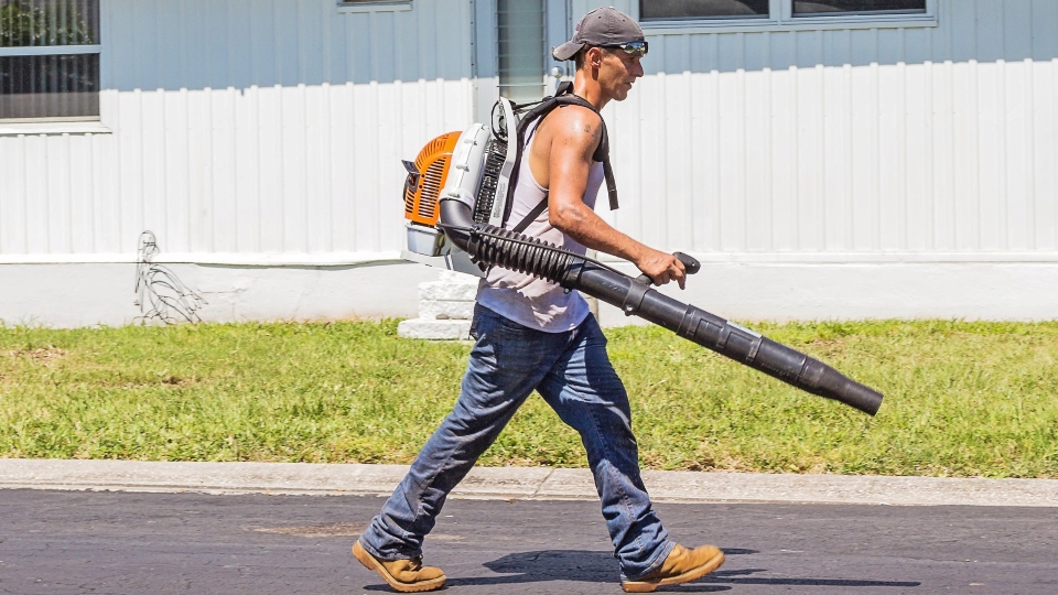 Best Leaf Blowers