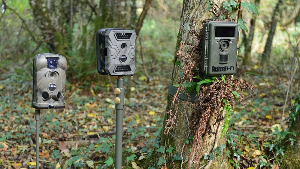 Best Trail Camera