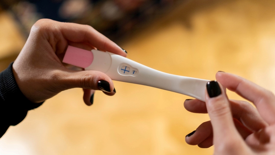 Best Pregnancy Tests