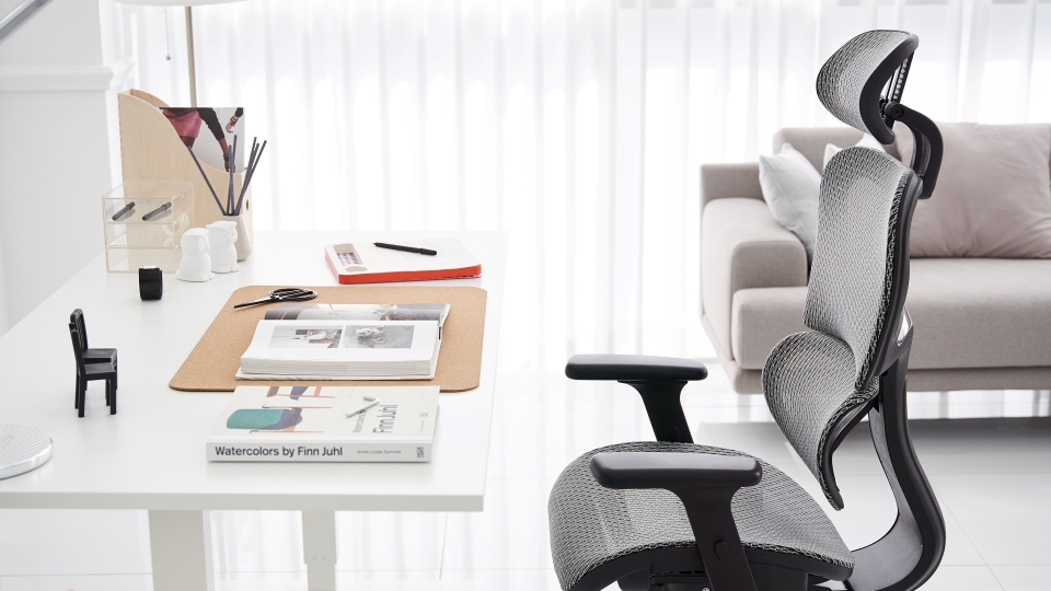 NOUHAUS® Ergo3D Ergonomic Office Chair